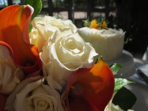 blog-roses