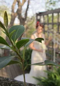 green sprig of leaves in the foreground with a bride in a white gown in the background